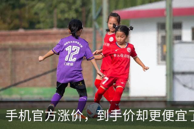 手机官方涨价，到手价却更便宜了？经销商先扛不住